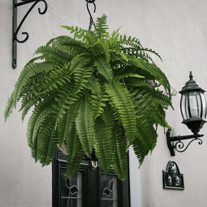 🔥Hot Sale 50% OFF🎁-UV Resistant Lifelike Artificial Boston Fern