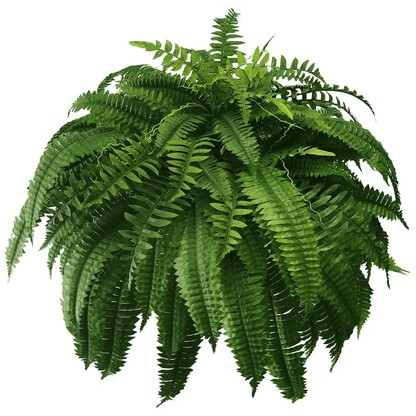 🔥Hot Sale 50% OFF🎁-UV Resistant Lifelike Artificial Boston Fern